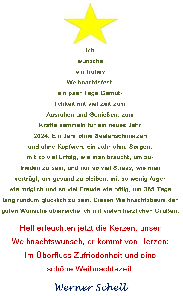 Weihnachtsbaum mit Stern Bild.PNG