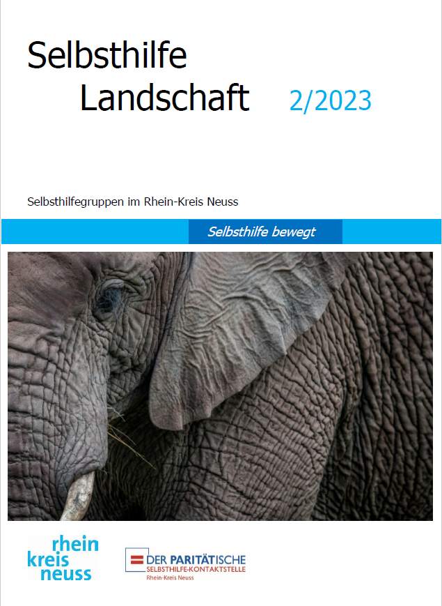 Selbstlhilfelandschaft 2 2023.PNG