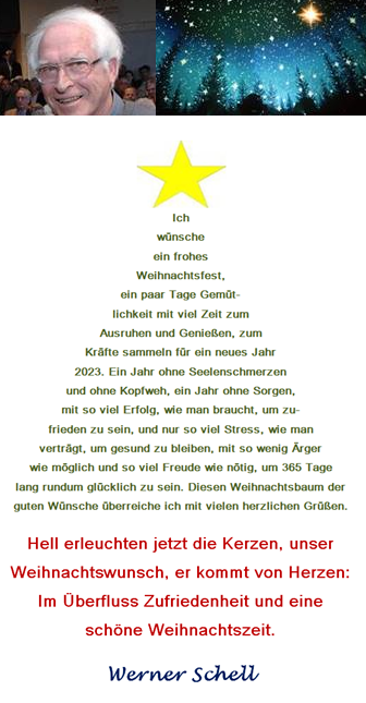 Weinachtsgruß 2023 Stern und Baum.PNG