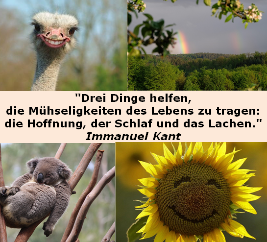 Mühseligkeiten des Lebens.PNG