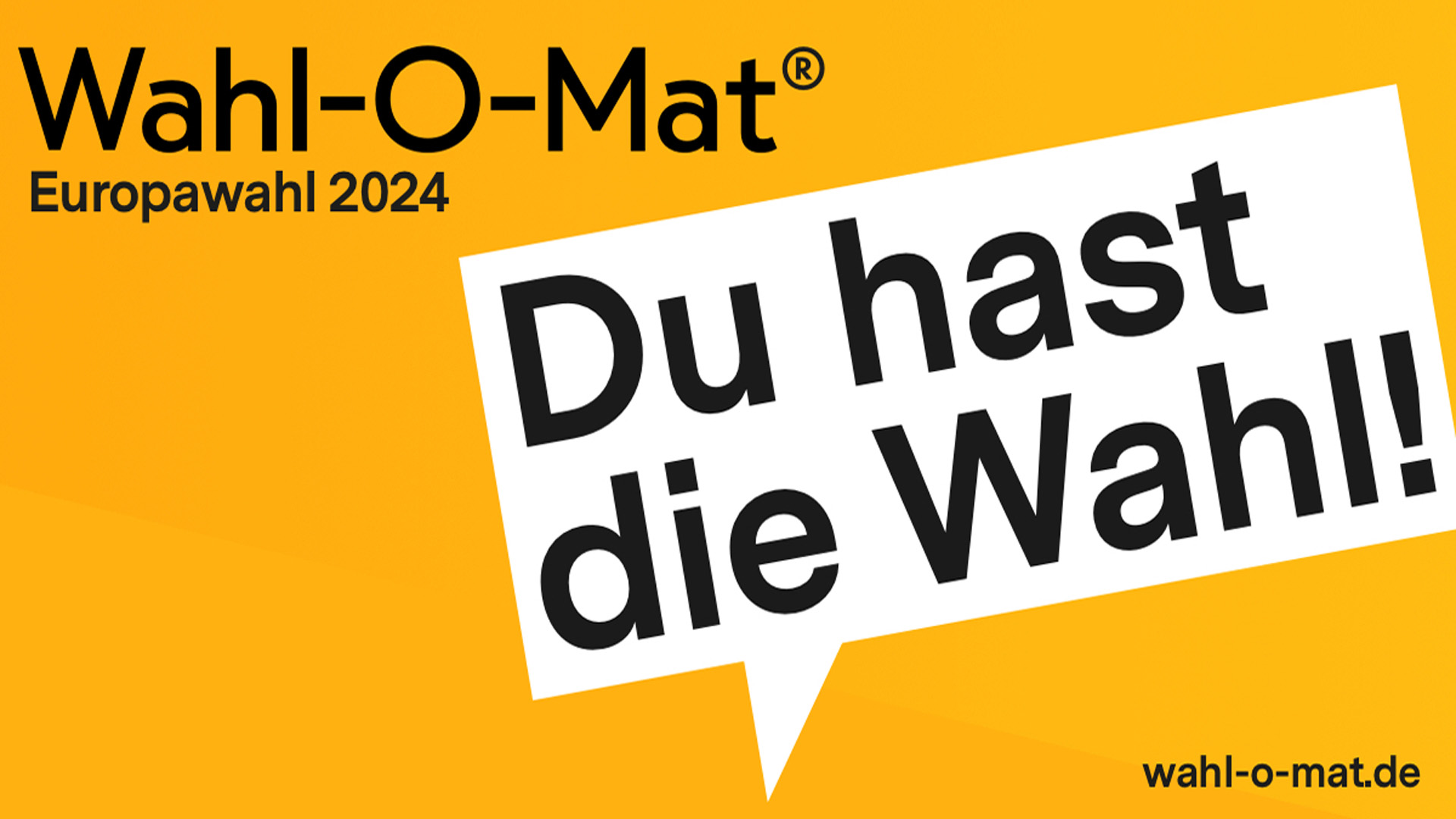 wahl-o-mat-2024-europawahl-100.jpg