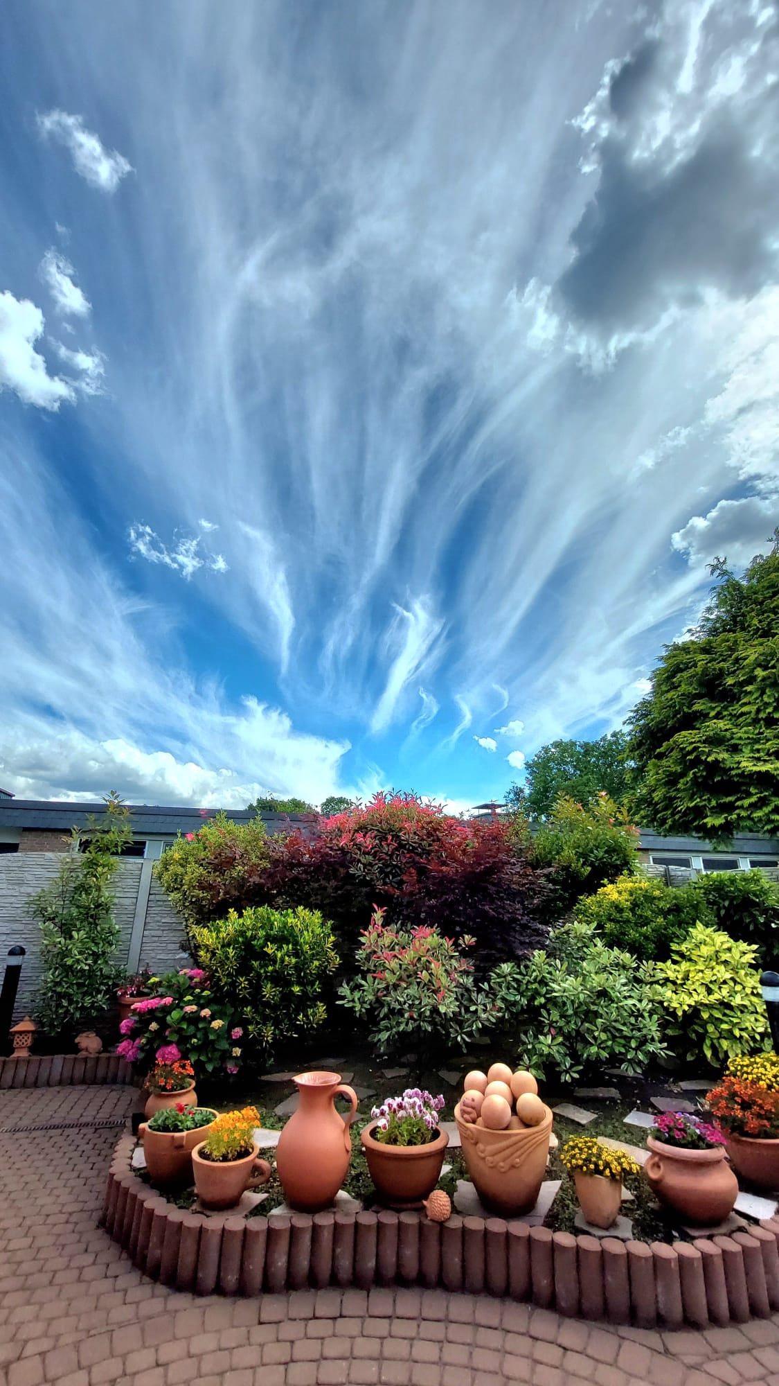 Garten mit Wolken.jpeg