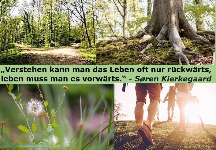 Leben vorwärts.jpg