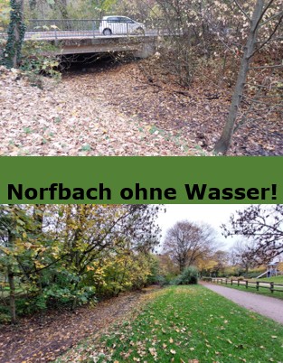Norfbach ohne Wasser 3.jpg