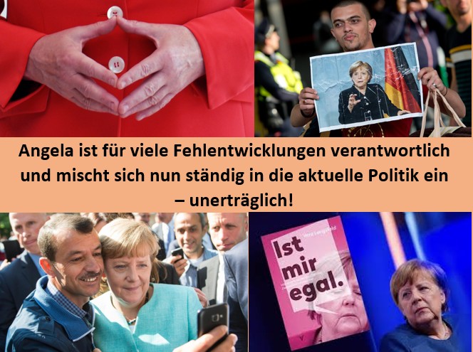 Merkel Einmischungen unerträglich.jpg
