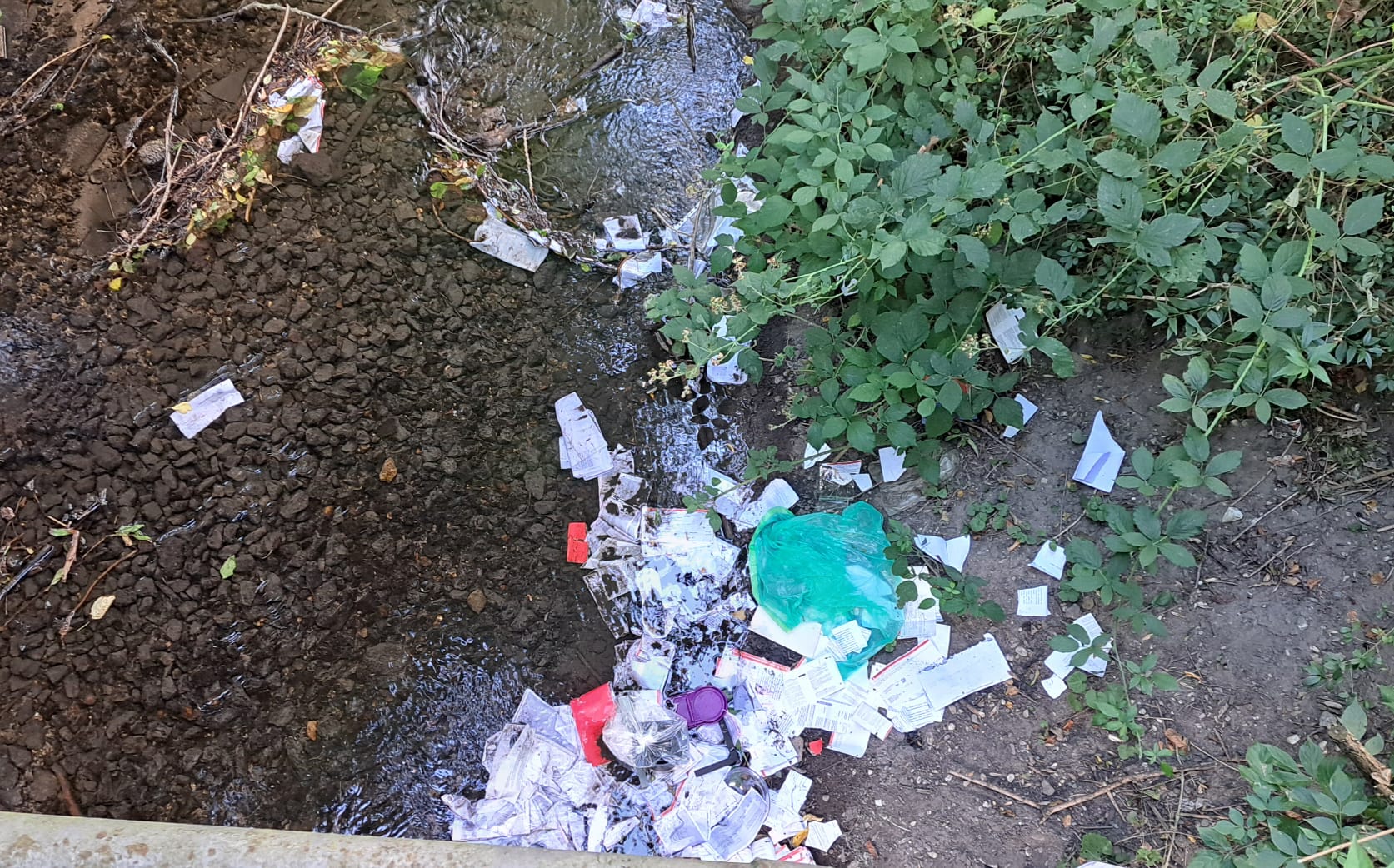 Norfbach Müll 3 19072026.jpg