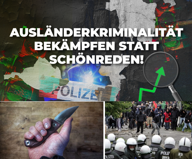 Asländerkriminalität 2026.png