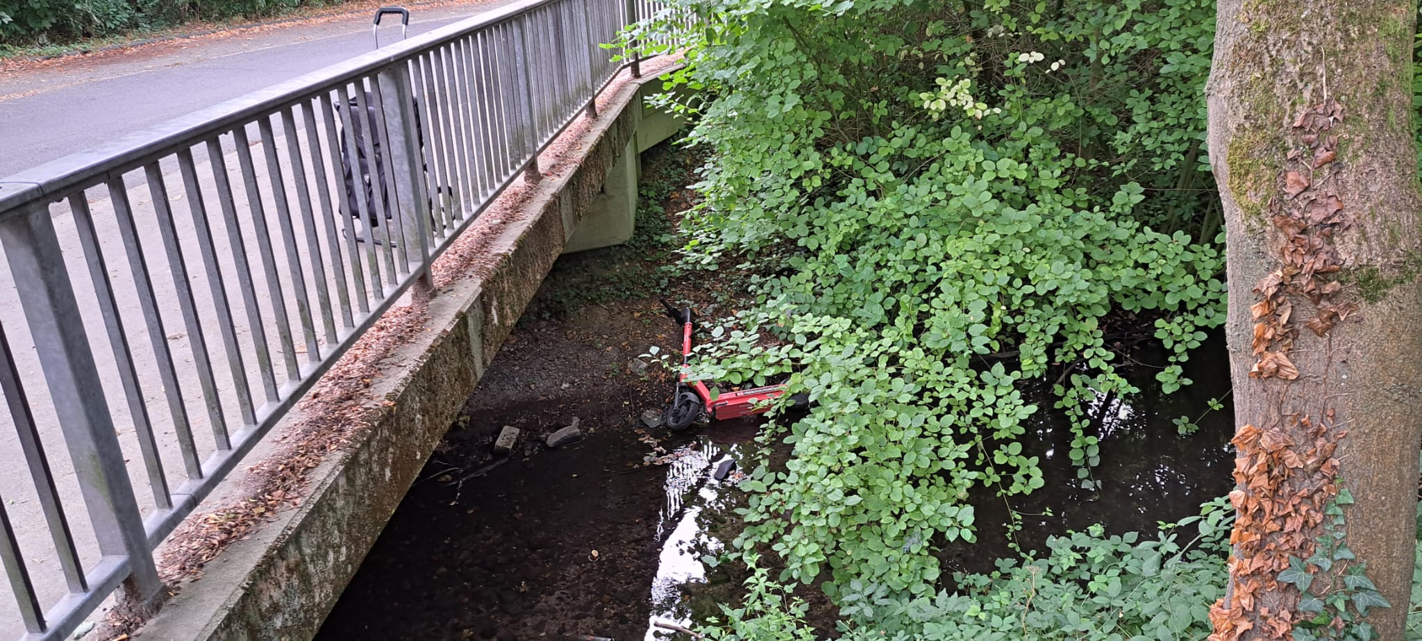 E Scooter Erfttal im Norfbach 2.jpg