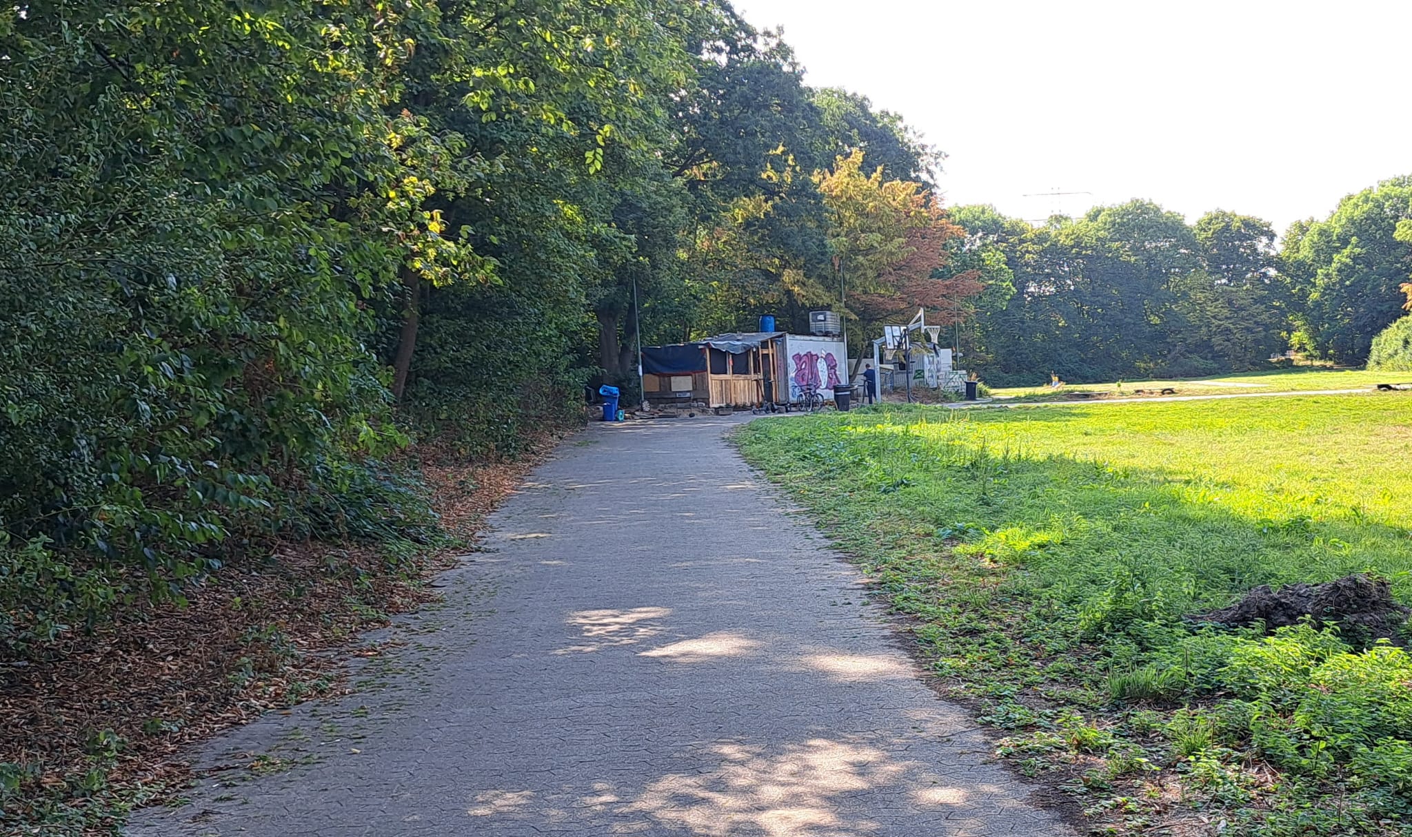 Bild 02.08.2026 1.jpg