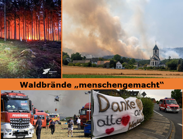 Waldbrände menschengemacht 2026.png