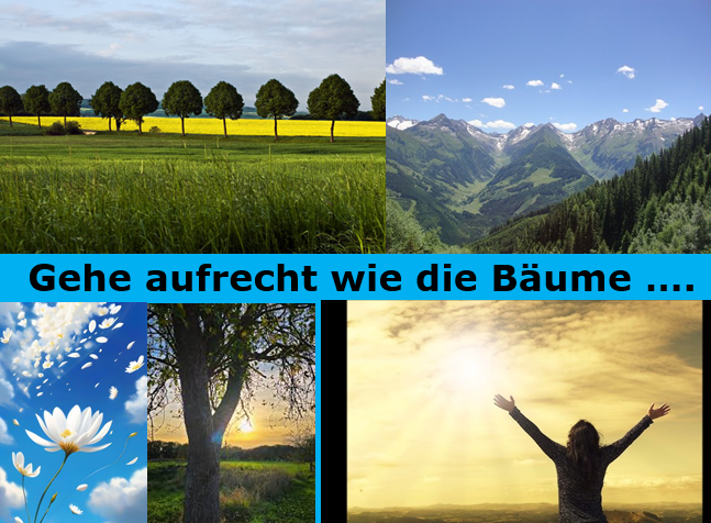 Gehe aufrecht wie die Bäume.png