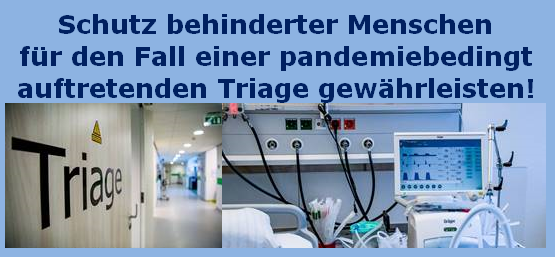 Triage Schutzpflichten.PNG