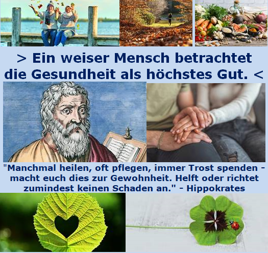 Gesundheit höchstes Gut - Hippokrates.PNG